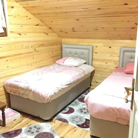 Holiday home Caykara Uzungol